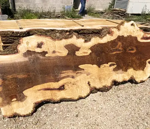 Bur Oak Lumber
