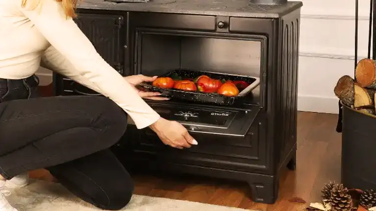 https://forestry.com/wp/wp-content/uploads/2023/10/Cast-Iron-Wood-Stove-with-Cooker-Oven-and-Heater-Review-4.webp