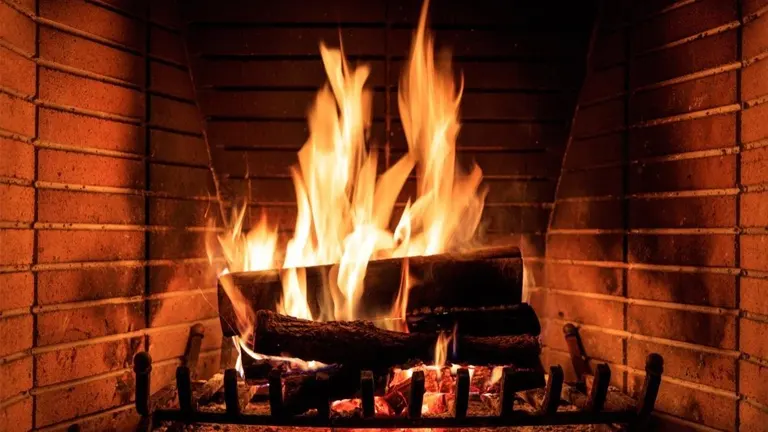 Wood Stove vs. Fireplace: Which is More Efficient?