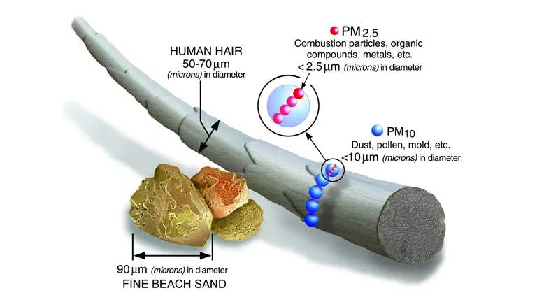 Particulate Matter (PM) and Its Impact on Health