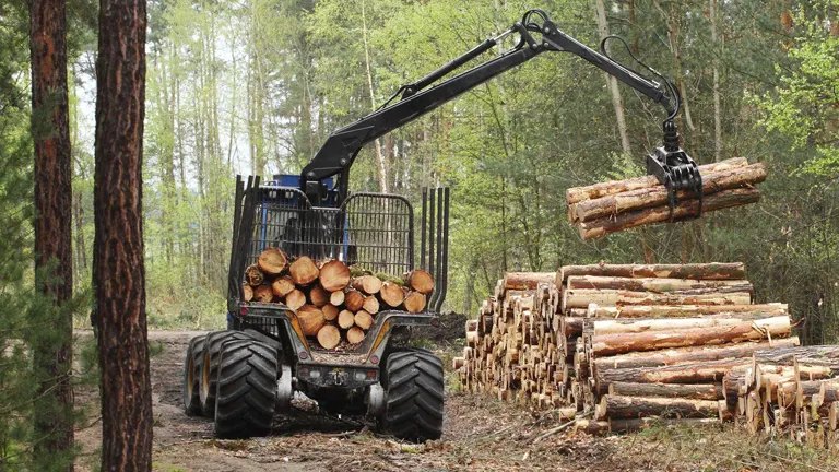 Timber harvesting machine lifting a pile of logs in a forest