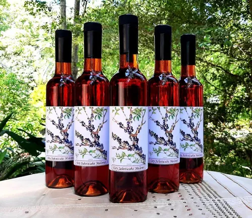 Four bottles of Jabuticaba wine on a garden table