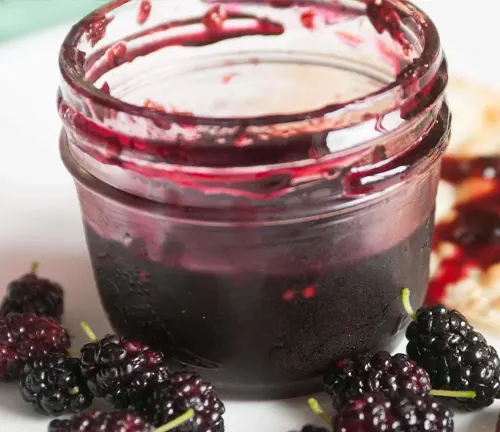 Jar of blackberry jam with fresh blackberries.