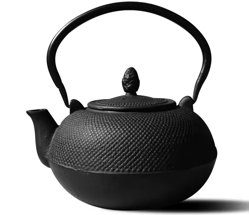 Tea Kettle, TOPTIER Japanese Cast Iron Tea Pot for Stove Top, Cast Iron  Teapot Humidifier for Wood Stove, Leaf Design Tea Kettle Coated with  Enameled