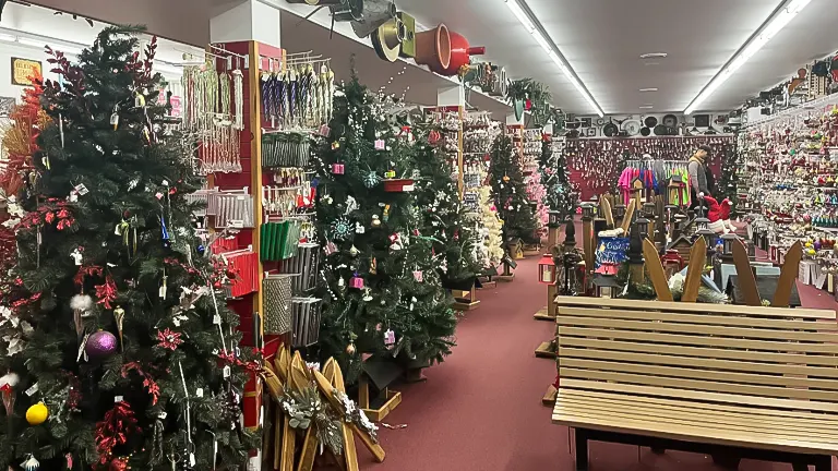 A store filled with Christmas trees and decorations.