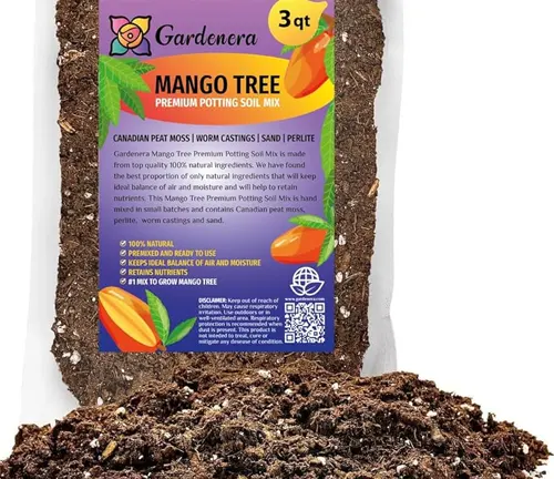 mango tree potting soil mix