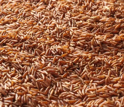 Close-up of scattered uncooked brown rice grains.