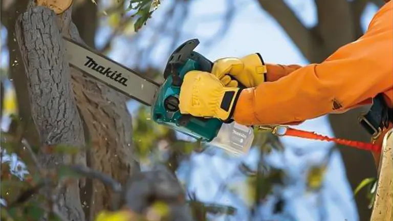 Person in orange safety gear using a chainsaw to cut a tree branch.