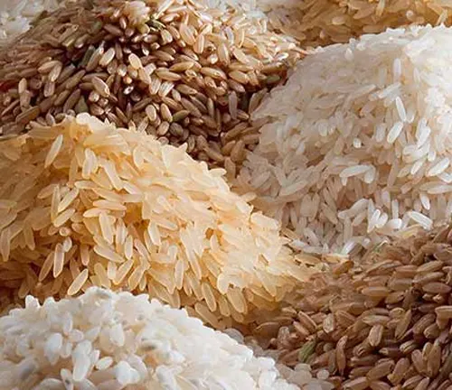 Close-up of various types of rice grains in different colors and sizes.