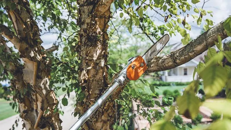 Stihl HT 135 pole saw with long pole and chain saw attachment