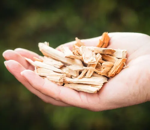 Hand holding wood chips for a 2023 Firewood Business guide