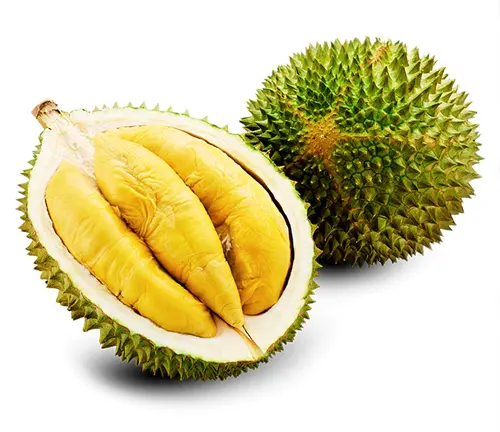 Halved and whole Durio kutejensis var. durianoides with yellow flesh and spiky green skin on a white background