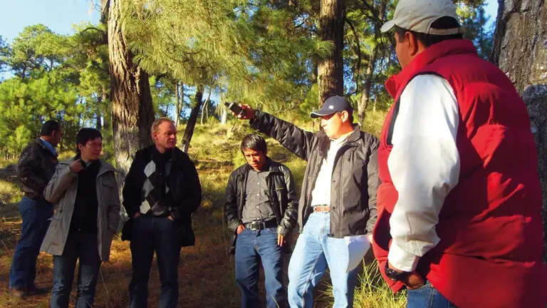 Group of people discussing timber harvesting in a forest
