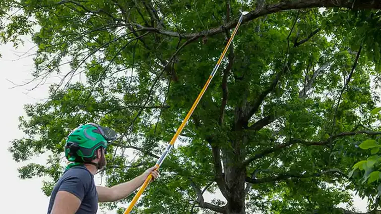 Person using a Notch 18-foot fiberglass pole saw to trim tree branches