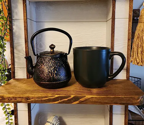 Black teapot and mug with a dragon design on a wooden shelf, plants in the background.
