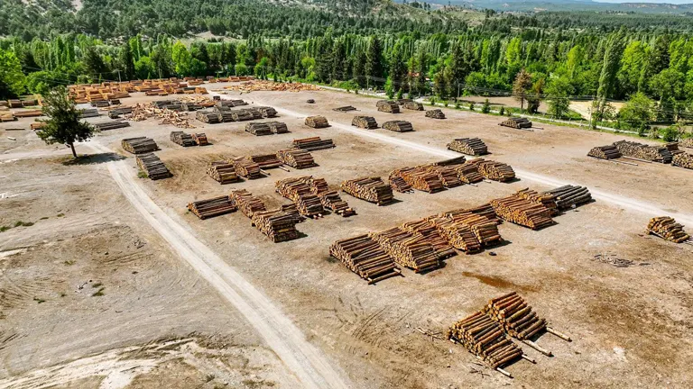 Aerial view of a timber harvesting site with stacks of logs