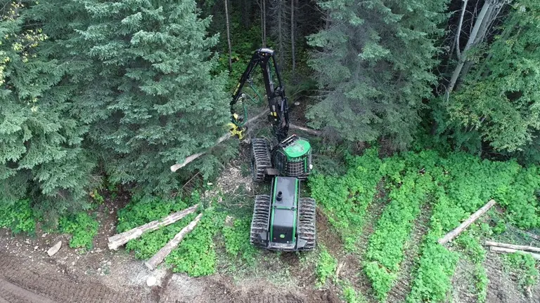 Aerial view of a forestry machine in a forest clearing, highlighting forest management practices