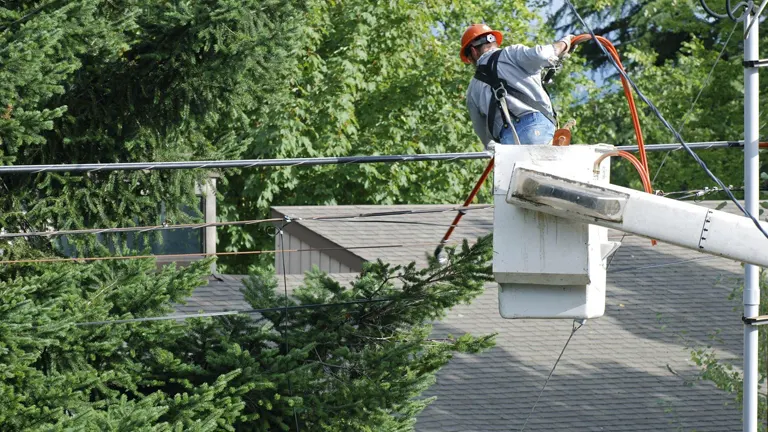 Person using a pole saw to trim tree branches