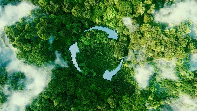 Aerial view of a sustainable forest with a crescent-shaped lake