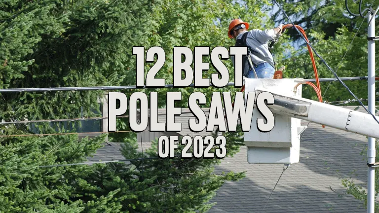 12 Best Pole Saws of 2024