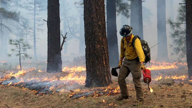 Firefighter managing a controlled burn in a forest as part of sustainable practices