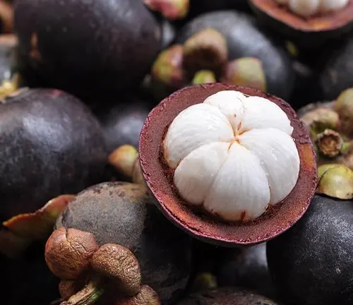 Close-up of mangosteen fruit, some whole and some cut open to reveal white flesh