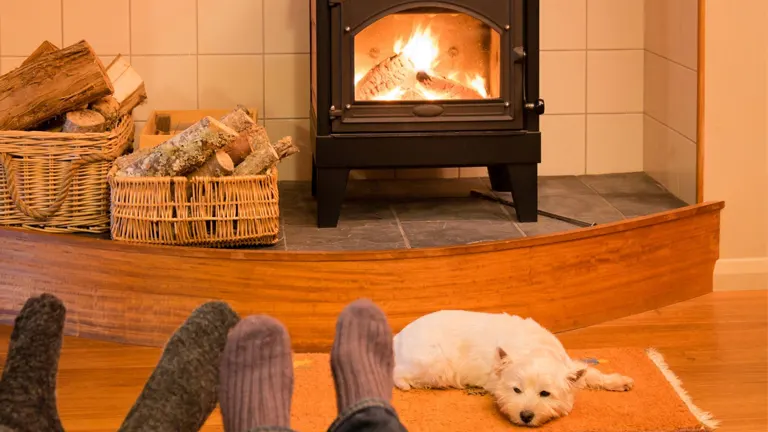 Cozy living room with a fireplace and a dog lying on the rug.