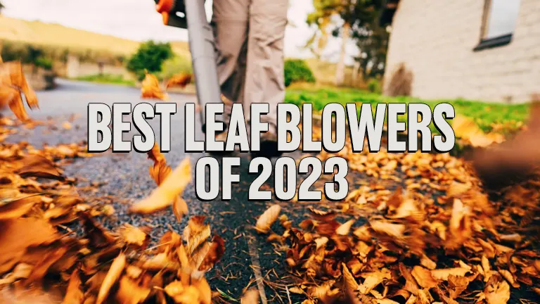 Best Leaf Blowers of 2024