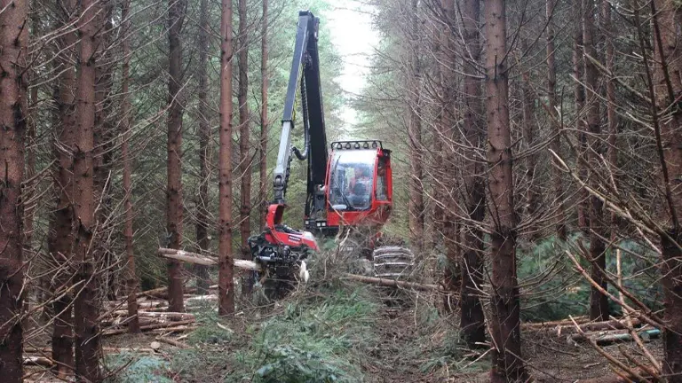 Red timber harvesting machine in a forest clearing with felled trees