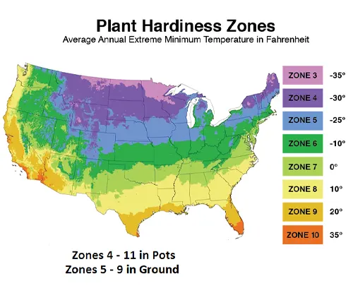 US Plant Hardiness Zones map for Bacon Avocado cultivation