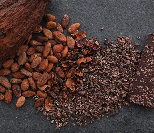 Cacao beans and nibs on dark background.