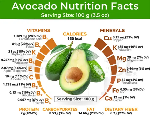 Fuerte Avocado cut in half surrounded by nutrition facts