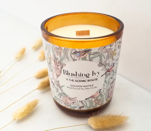 Soy wax candle in an orange glass jar with a label reading ‘Golden Wattle’, surrounded by dried flowers on a white background
