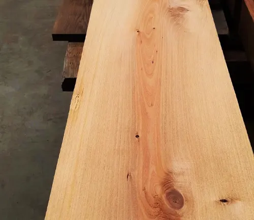 Close up of a polished Totara tree wood plank
