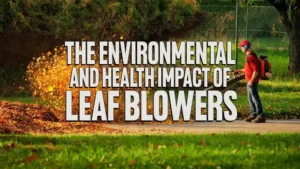 The Environmental and Health Impact of Leaf Blowers: A Call for Change