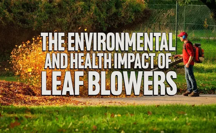 The Environmental and Health Impact of Leaf Blowers: A Call for Change