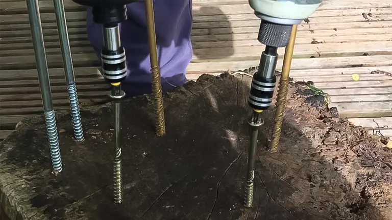 Fein Cordless Impact Wrench ASCD 18-200 W4 drilling screws into tree stump.