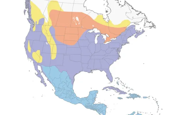 Map showing Grey Heron distribution in the United States
