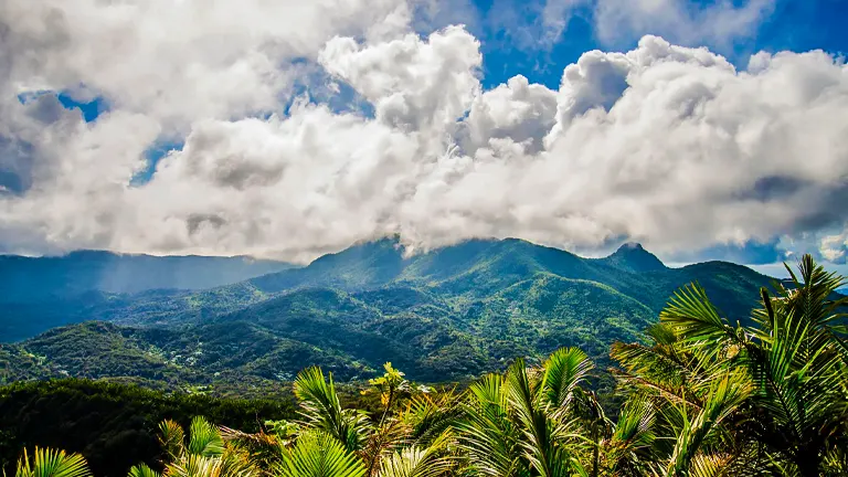 El Yunque National Forest