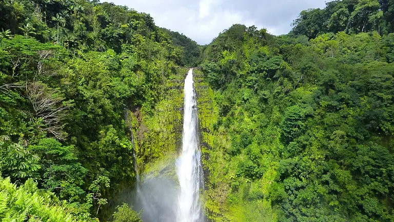 Akaka Falls State Park