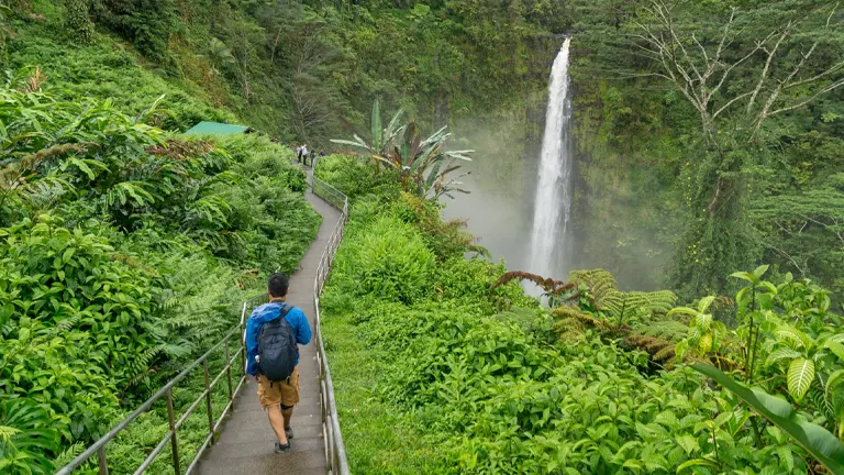 A person walking on a trail towards Akaka Falls surrounded by lush greenery at Akaka Falls State Park
