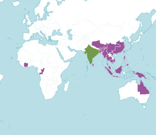 Map highlighting countries where Turmeric is grown, marked in purple and green