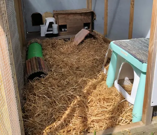 An enclosed Brush Rabbit habitat with straw bedding and various shelters