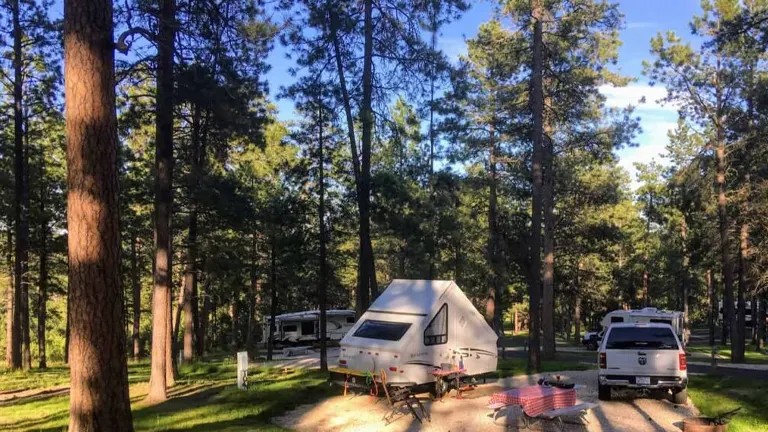 A serene campsite with RVs nestled among tall pine trees at Custer State Park