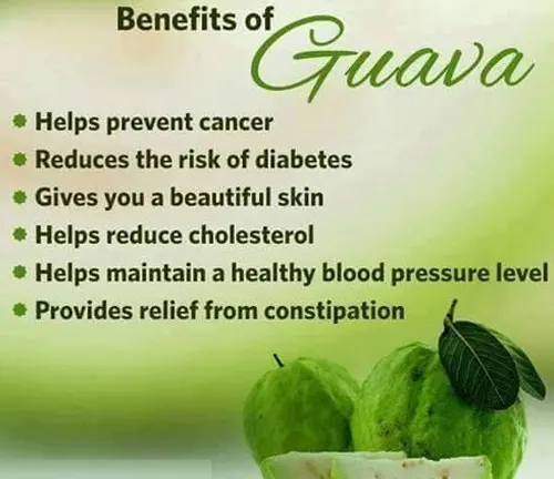 Guava and leaves with listed health benefits on a green background