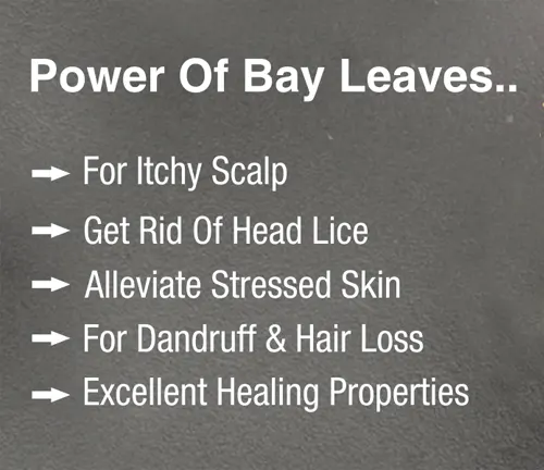 Textual representation titled ‘Power Of Bay Leaves…’ highlighting benefits of bay leaves on a grey background