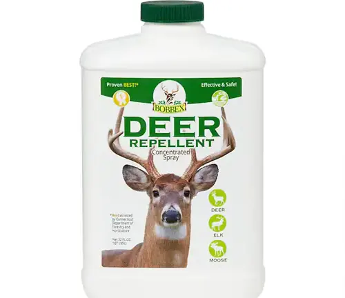 Bottle of Bobbex Deer Repellent with a picture of an Axis Deer on the label
