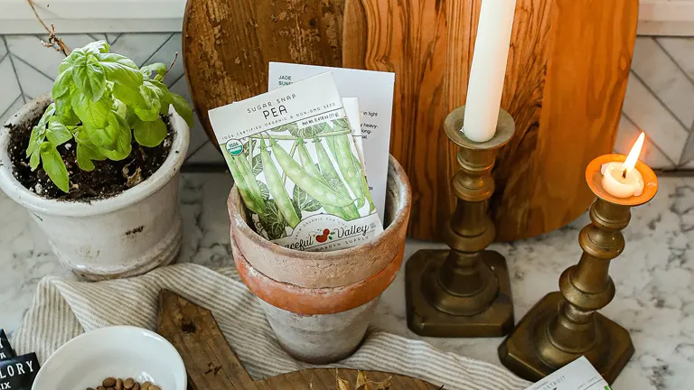 Seed packets labeled ‘Sugar Snap Pea’ on a wooden surface with a potted plant and lit candles, symbolizing winter seed buying