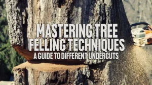Mastering Tree Felling Techniques: A Guide to Different Undercuts
