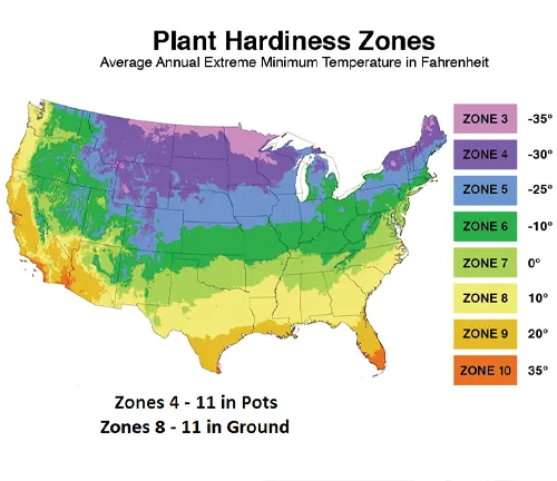 Plant hardiness zones map of the United States